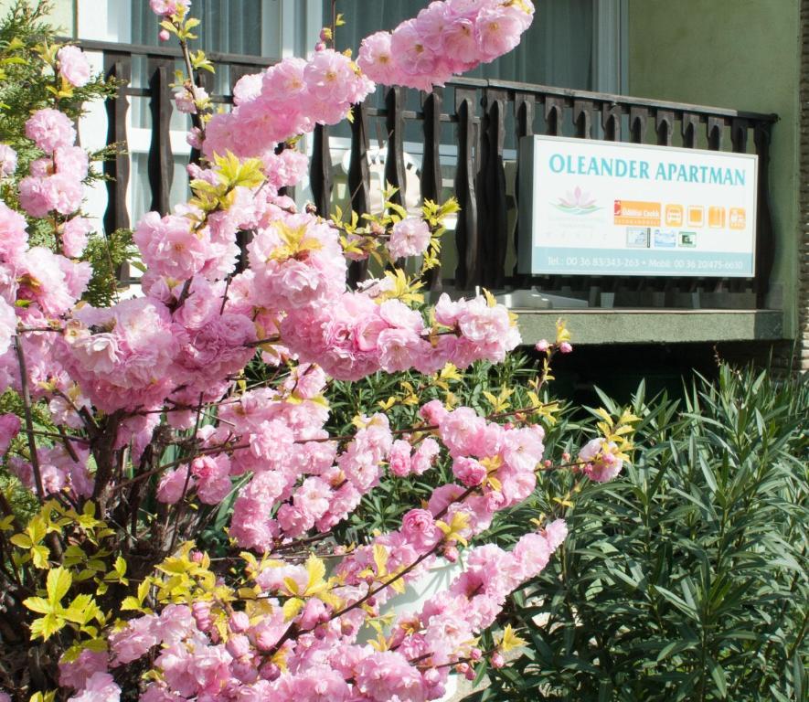 Oleander Apartman Hévíz Exteriér fotografie