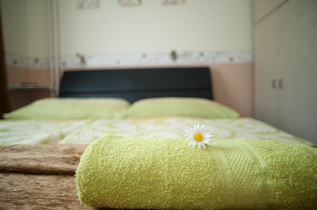 Oleander Apartman Hévíz Exteriér fotografie